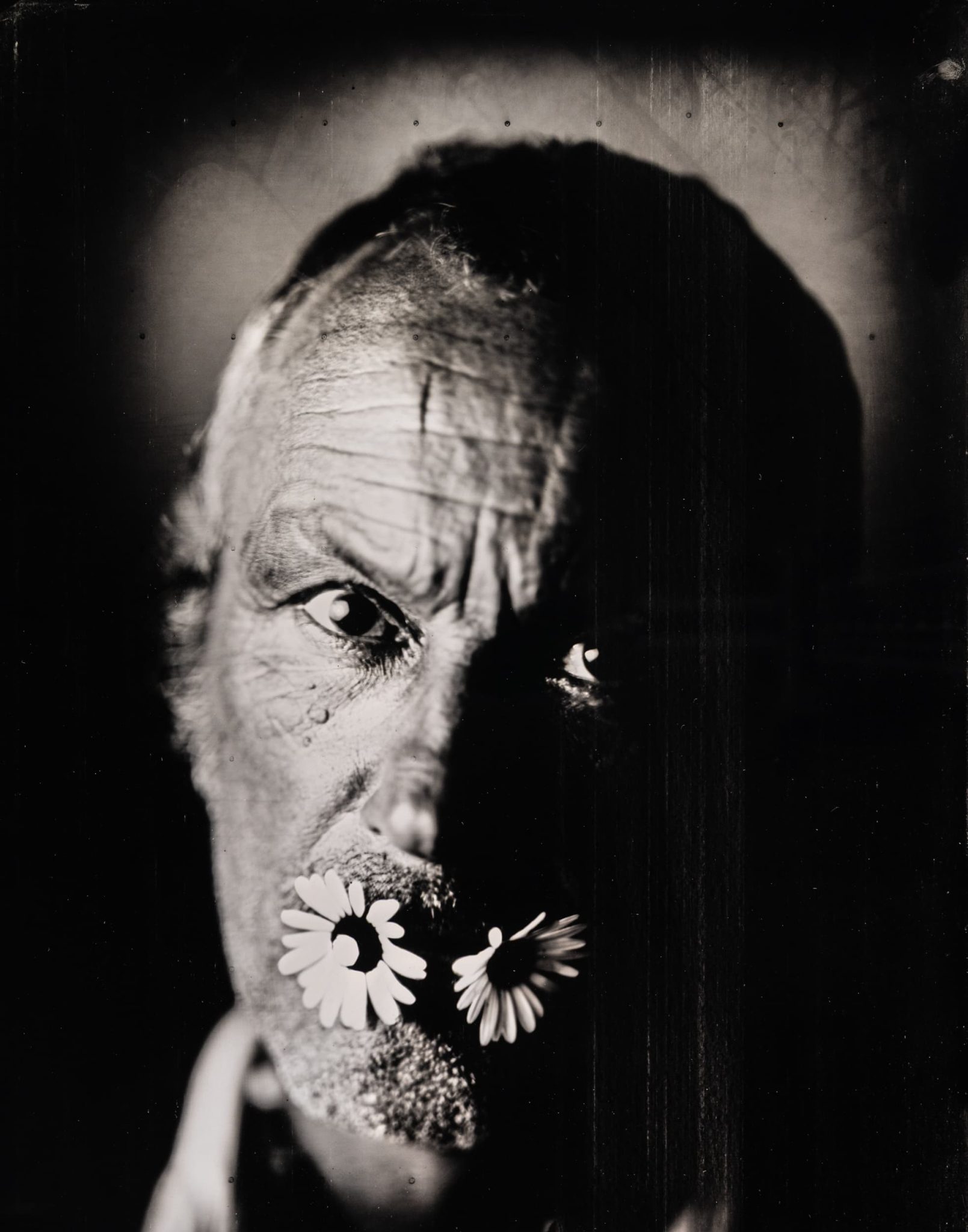 Collodion humide